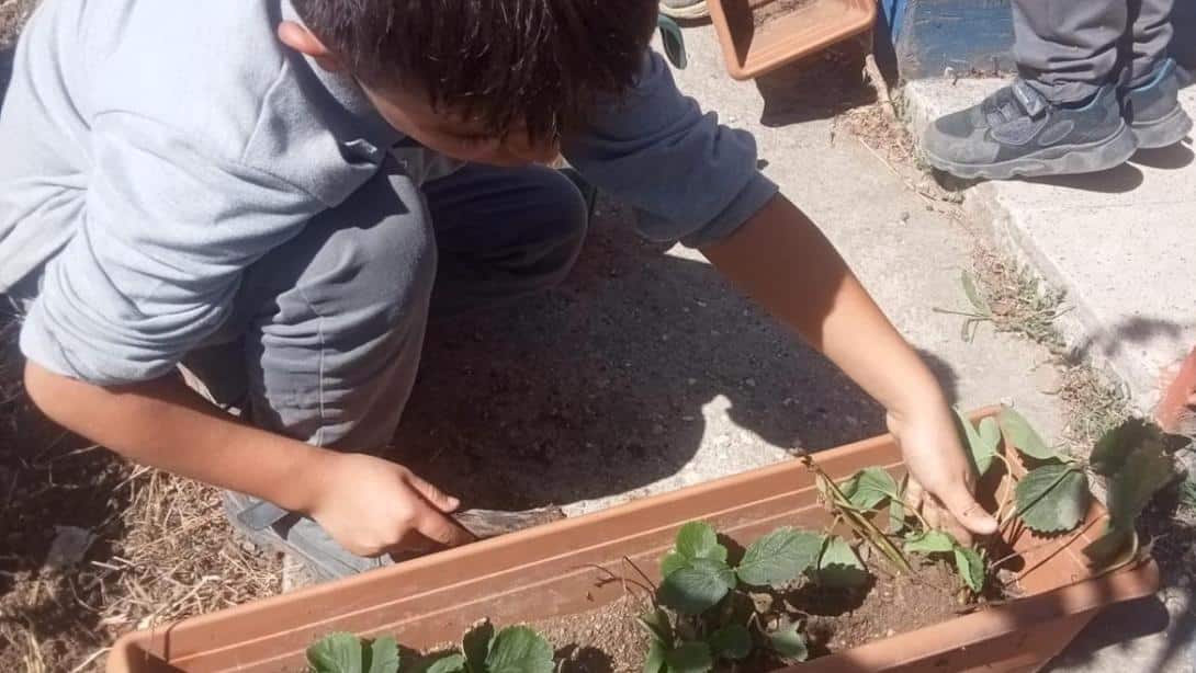 Çamyurdu İlkokulunda 